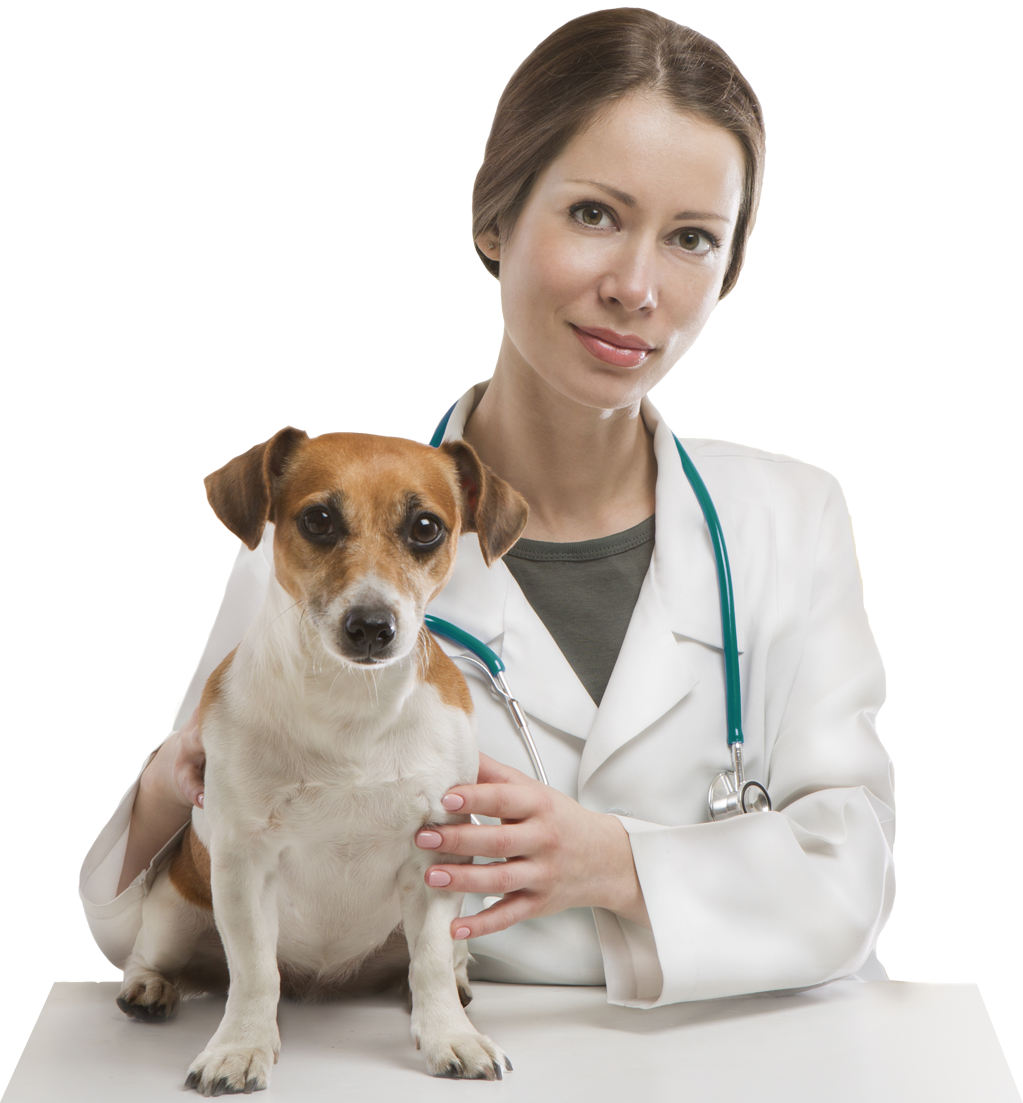 https://bend.weldrickanimalhospital.com/wp-content/uploads/2015/11/doktorka-1.png